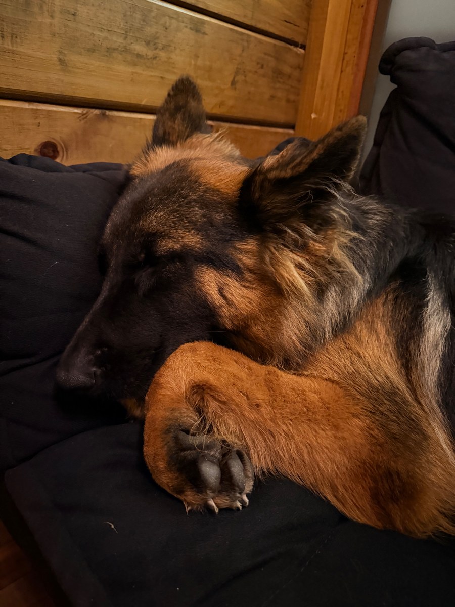 Iyla